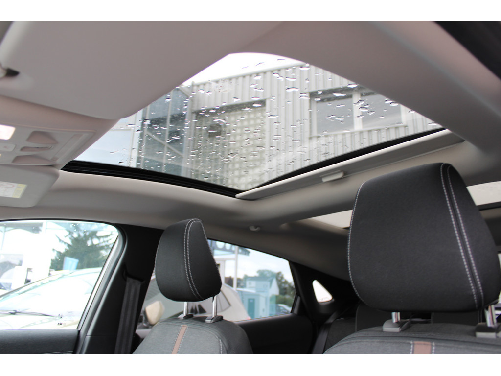 Puma 1.0l Titanium X *Pano,LED,Tot-Winkel,R.Kamera,SHZ,Park-Assist*
