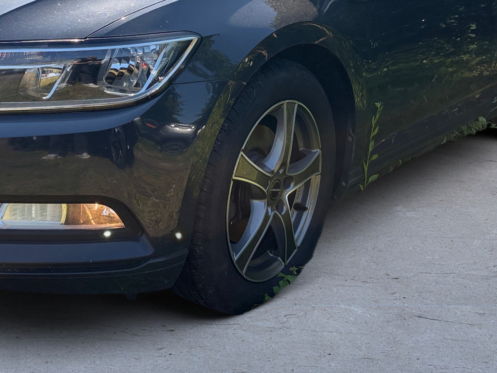 Passat Variant Trendline