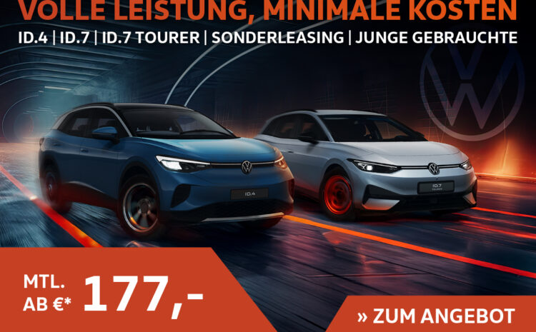  Junge gebrauchte ID.s